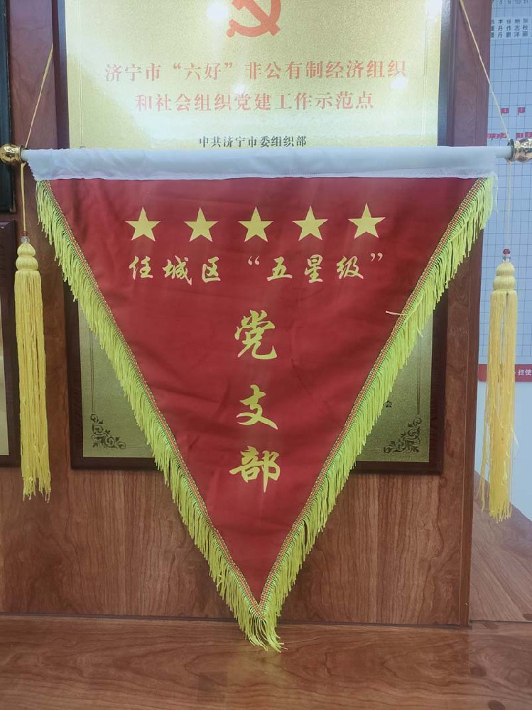 任城區區委組織授予集團公司“五星級”黨支部紅旗
